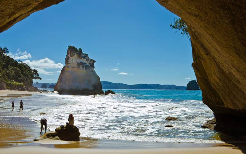 coromandel